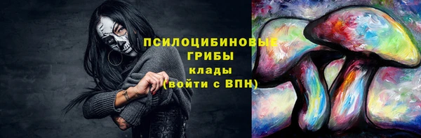 прущие грибы Балабаново