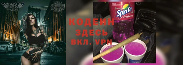 прущие грибы Балабаново