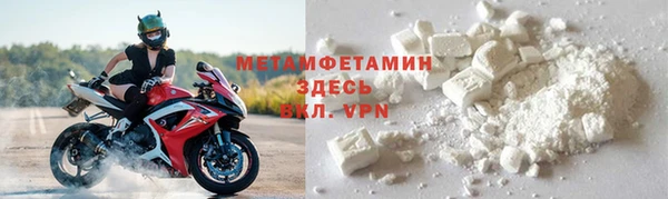 прущие грибы Балабаново