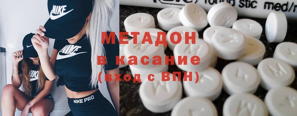 прущие грибы Балабаново