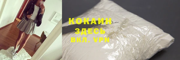 прущие грибы Балабаново