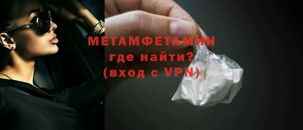 прущие грибы Балабаново
