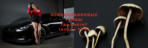 2c-b Тихвин