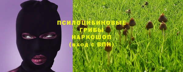 прущие грибы Балабаново