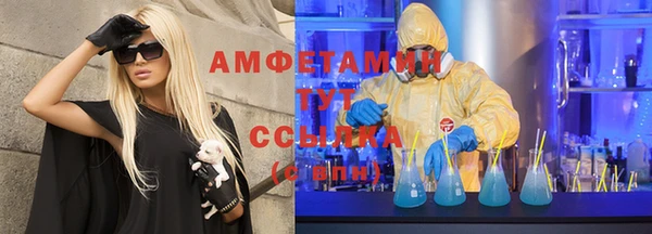 прущие грибы Балабаново