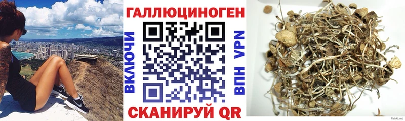 Галлюциногенные грибы MAGIC MUSHROOMS где купить Щёкино